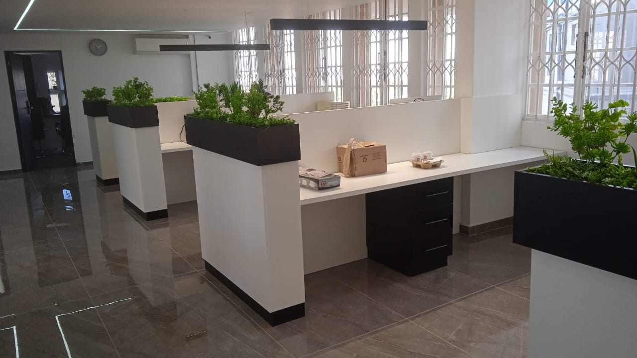 Law office library bookshelves